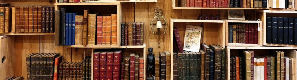 livres sur une étagère pour la bibliothèque Effet Mandela